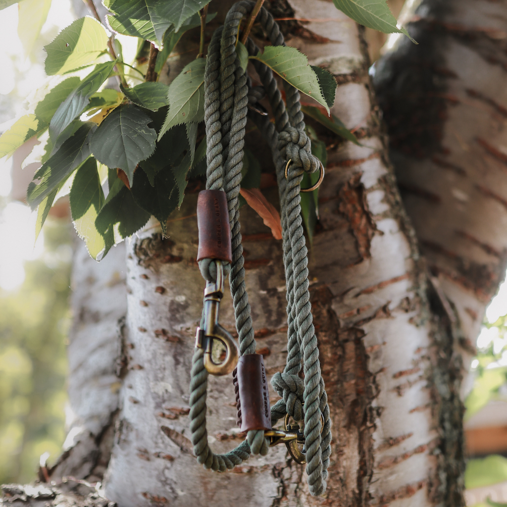 Close-up of soft 10mm organic cotton rope and vegetable-tanned leather on a premium dog leash