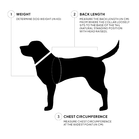 Brolly Waterproof Dog Raincoat - Smiley Bark