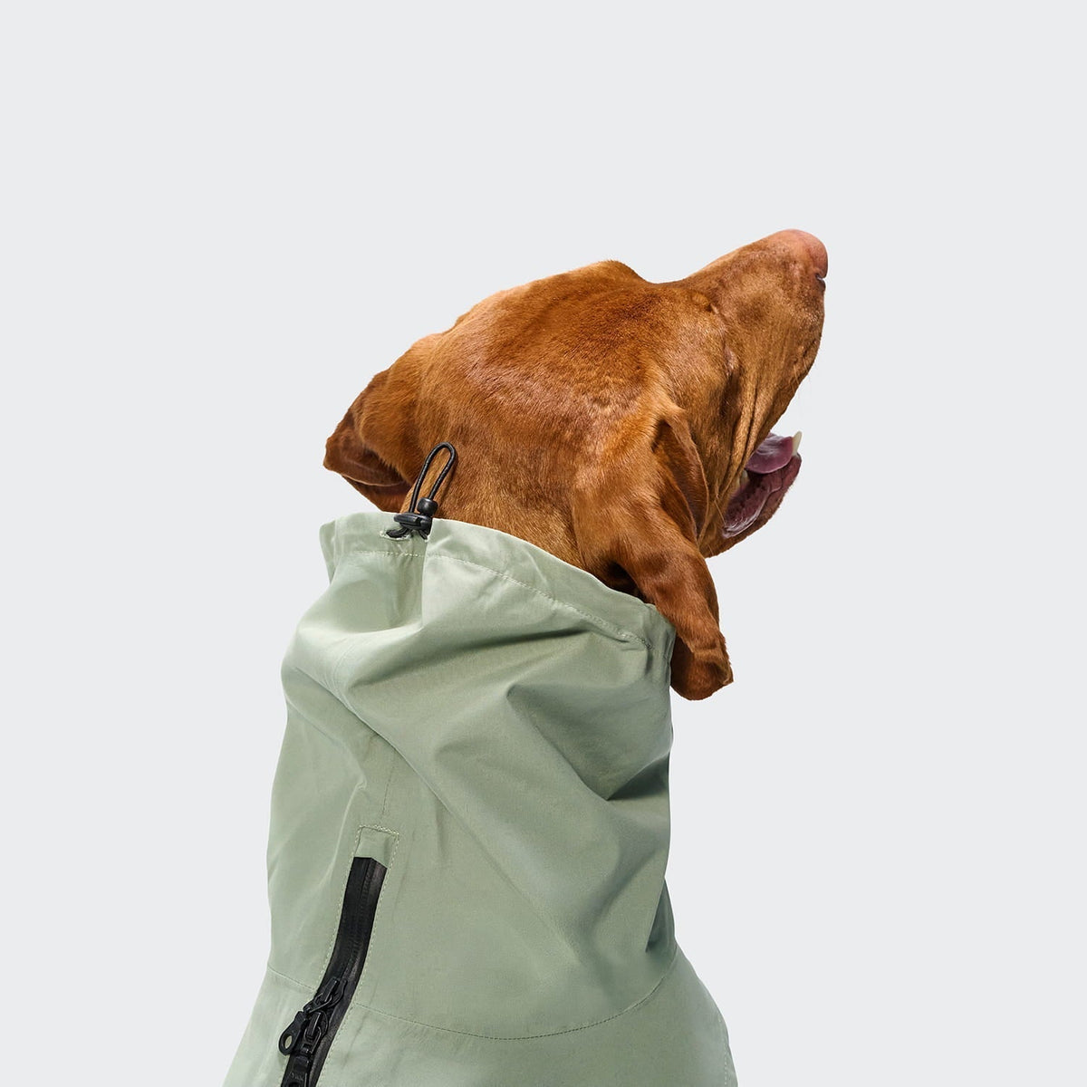 Brolly Waterproof Dog Raincoat - Smiley Bark