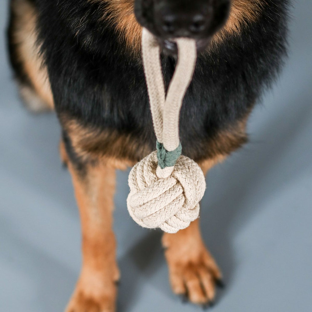 Eco-friendly cotton dog toy providing natural dental cleaning during play