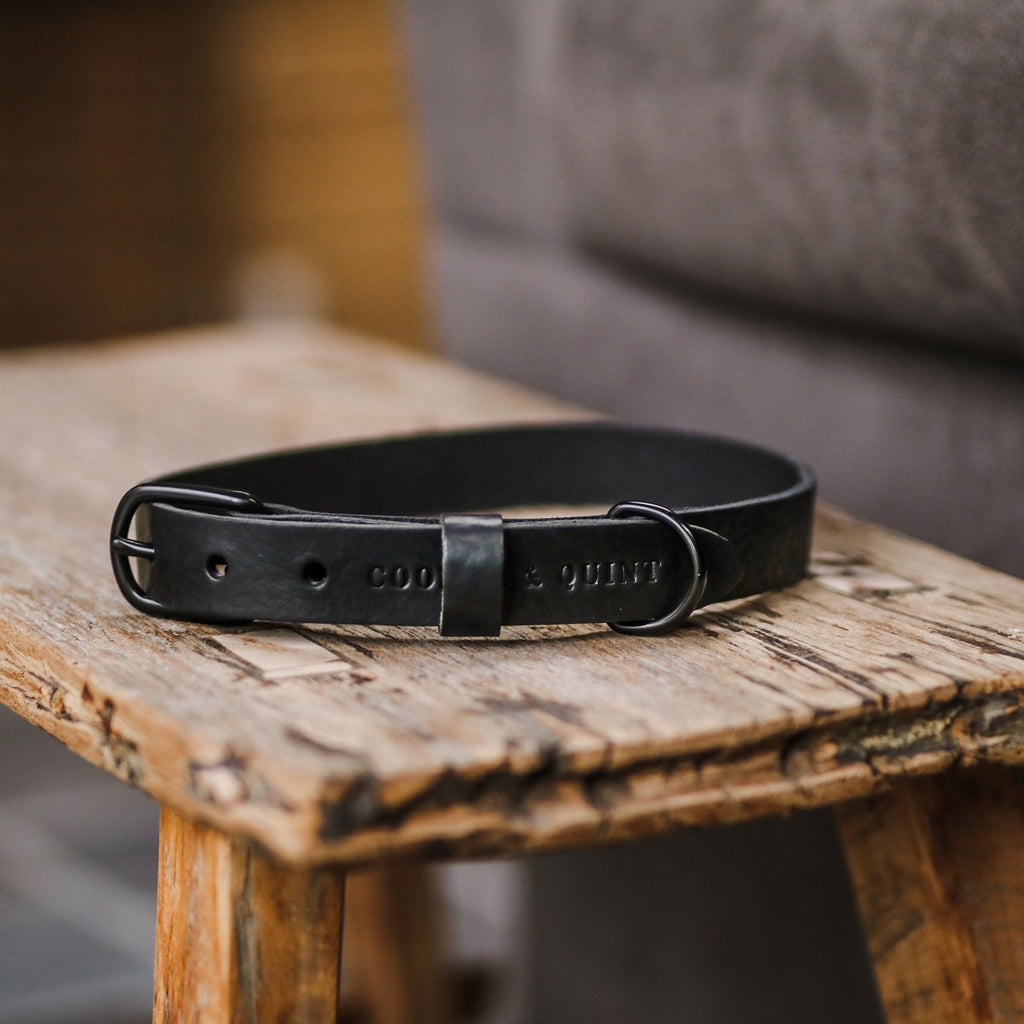 No Fuss Leather Dog Collar – Midnight Black | Minimalist Italian Leather
