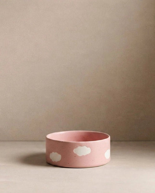 Cloud Handcrafted Stoneware Pet Bowl Set of 2 – Satin Pink - Smiley Bark