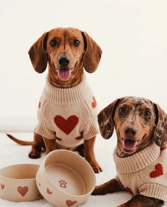 Cozy Hearts Handcrafted Stoneware Pet Bowl Set (Pack of 2)