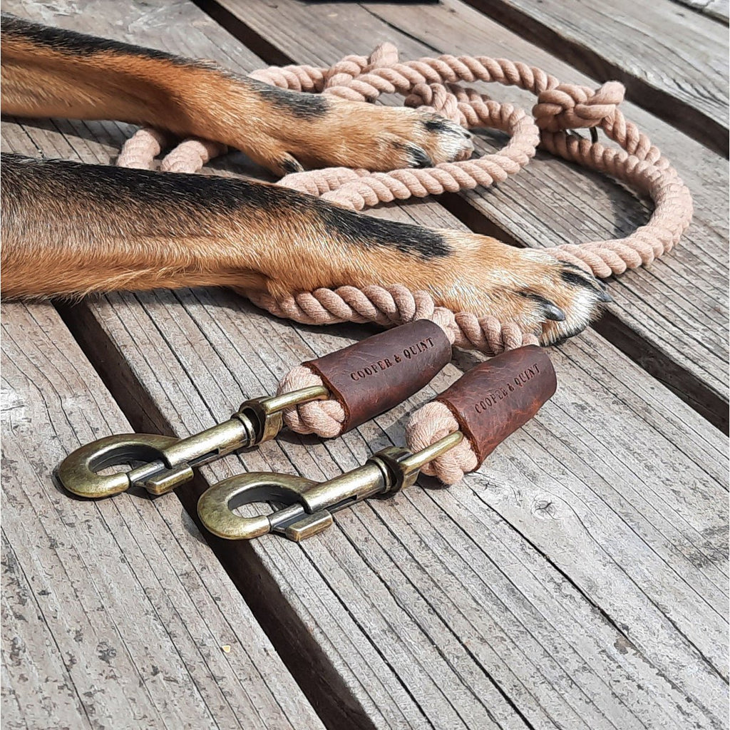 3-in-1 Adjustable Twisted Cotton Rope Leash – Mocha Brown | Hands-Free & Soft-Grip