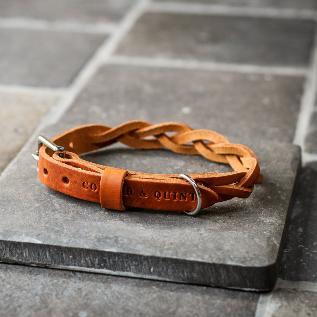 Twisted Braided Leather Dog Collar – Camel / Cognac | Handcrafted Italian Leather