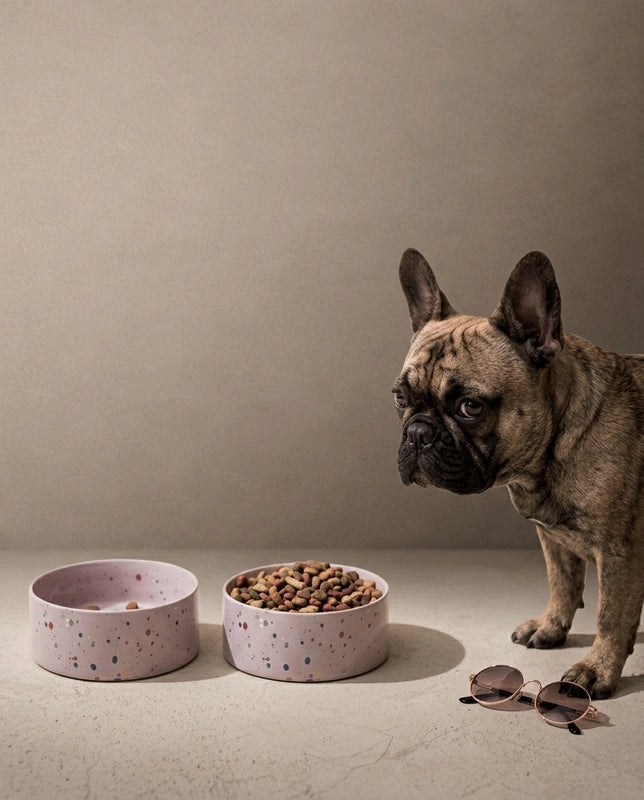 The Splatter Pet Bowl Set (Pack of 2) – Dreamy Lilac