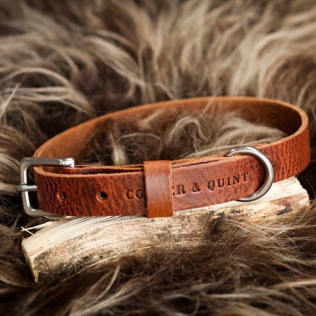 Close-up of smooth Heritage Brown Italian leather dog collar with silver-tone hardware.