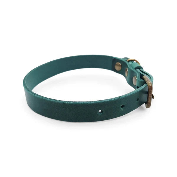 No Fuss Leather Dog Collar – Forest Green | Minimalist Italian Leather