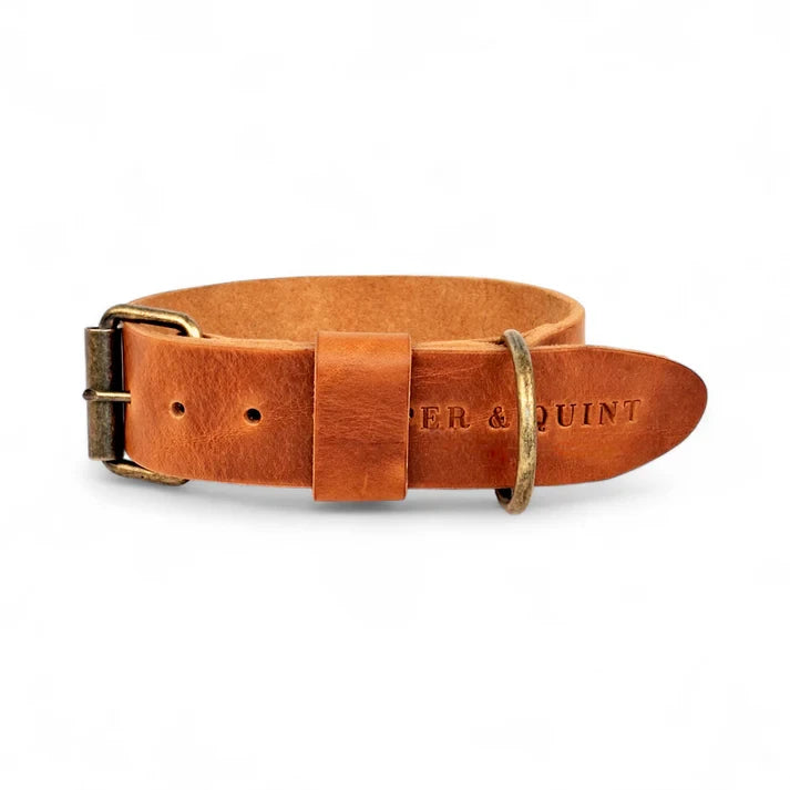 Wide 4cm camel leather dog collar with robust antique brass buckle