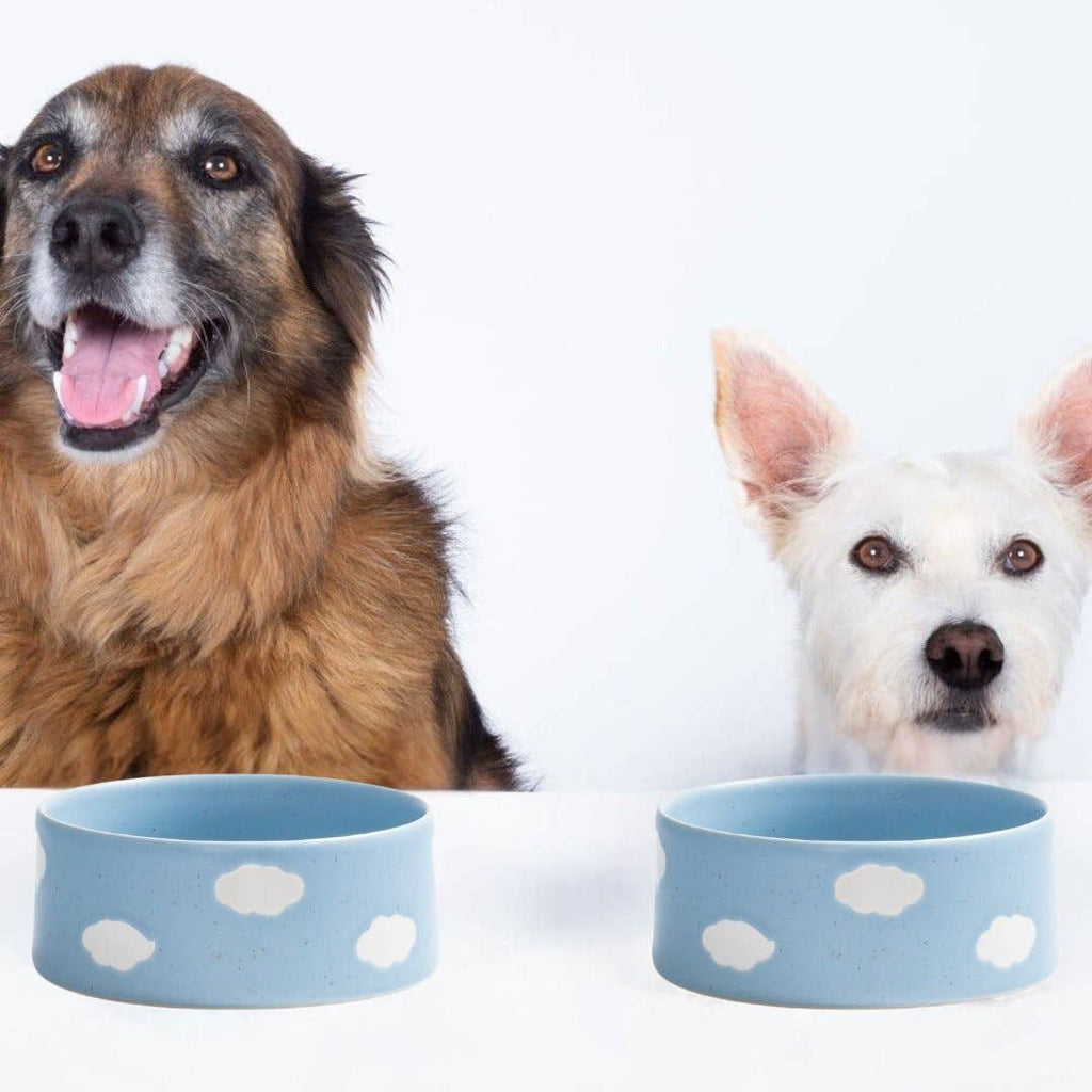 Cloud Handcrafted Stoneware Pet Bowl Set of 2 – Sky Blue