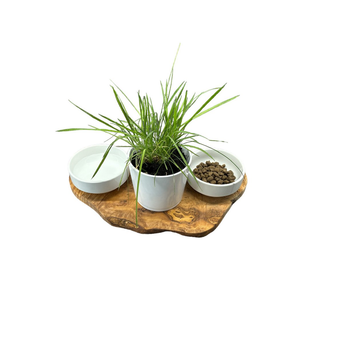 RUSTY feeding station 2x 0.4 liter porcelain bowls plus pot for cat grass olive wood
