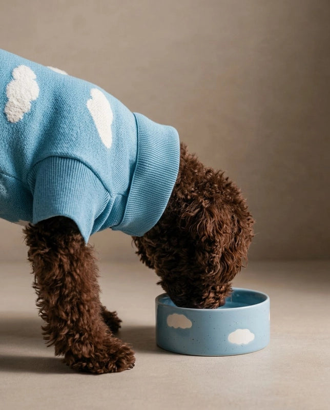 Cloud Handcrafted Stoneware Pet Bowl Set of 2 – Sky Blue
