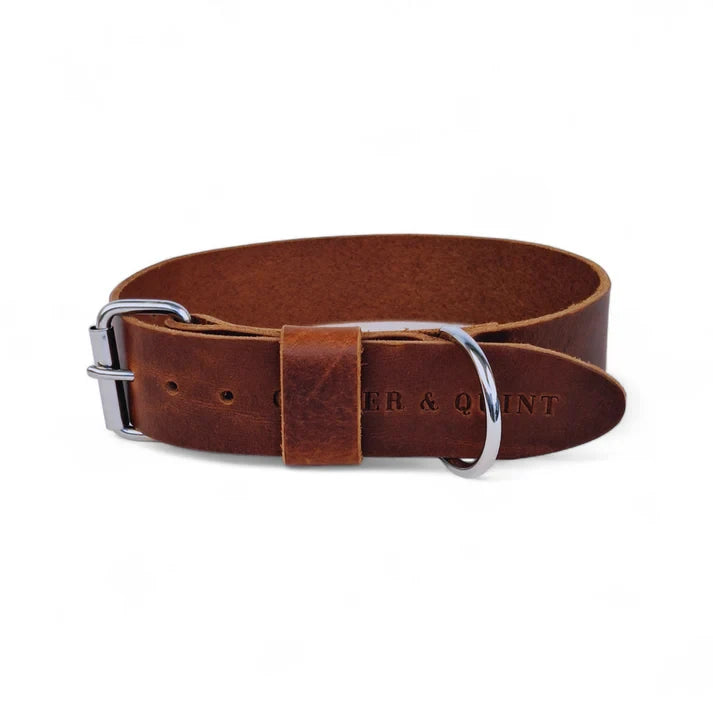 Brown leather wide dog collar with stainless steel buckle option.