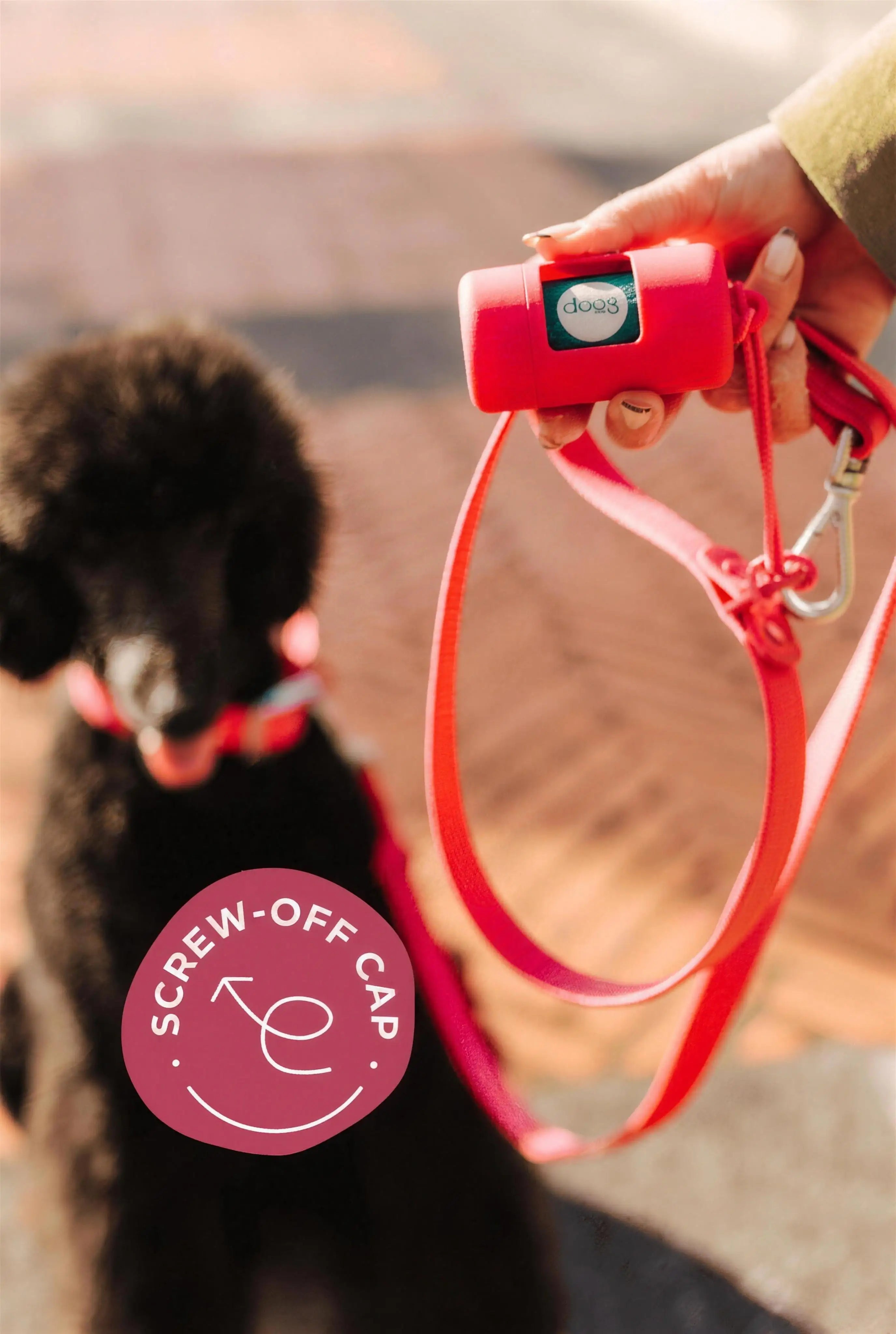 The Leash-Side Bag Holder — Turquoise, Violet & Fuchsia
