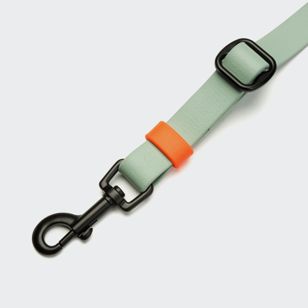 Rascal BioThane Hands Free Dog Leash - Smiley Bark