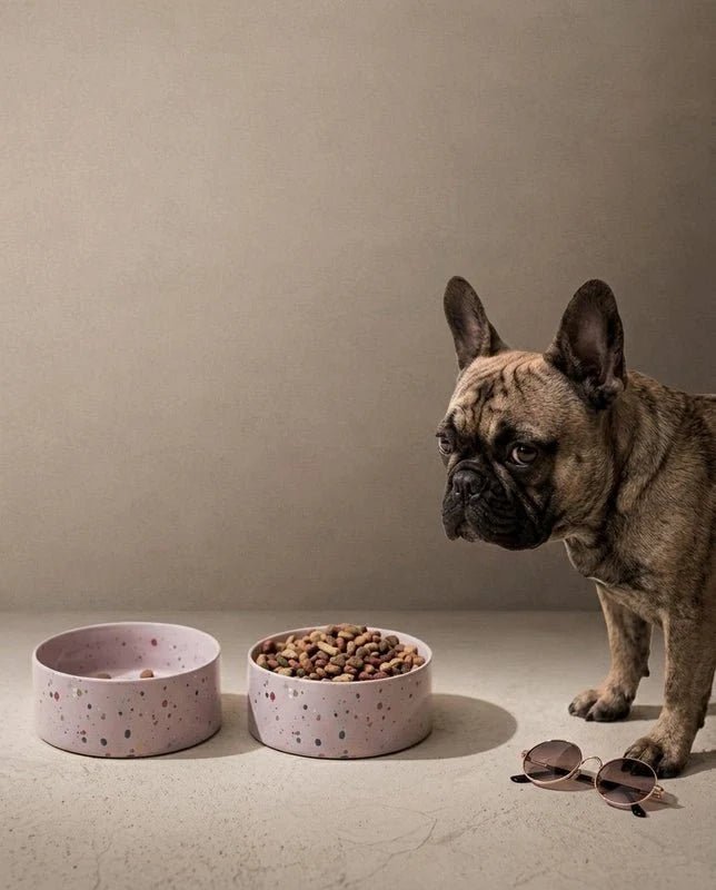 Splatter Ceramic Dog & Cat Bowls – Set of 2 - Smiley Bark