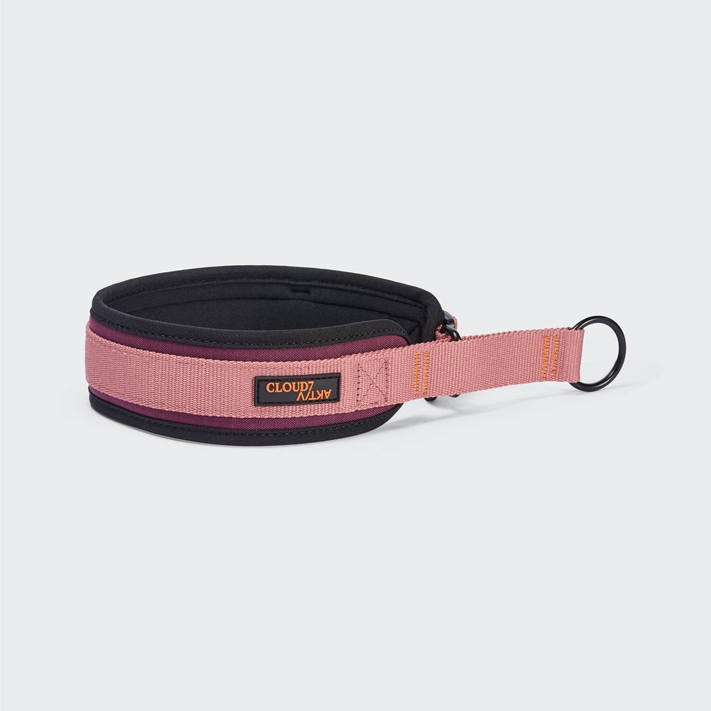 Steady Martingale Dog Collar – Aubergine and Soft Rose - Smiley Bark