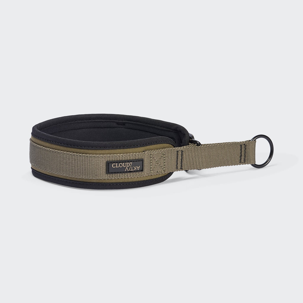 Steady Martingale Dog Collar – Olive - Smiley Bark
