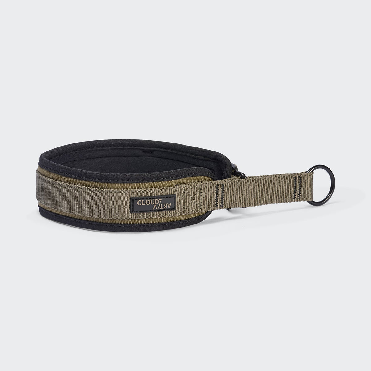 Steady Martingale Dog Collar – Olive - Smiley Bark