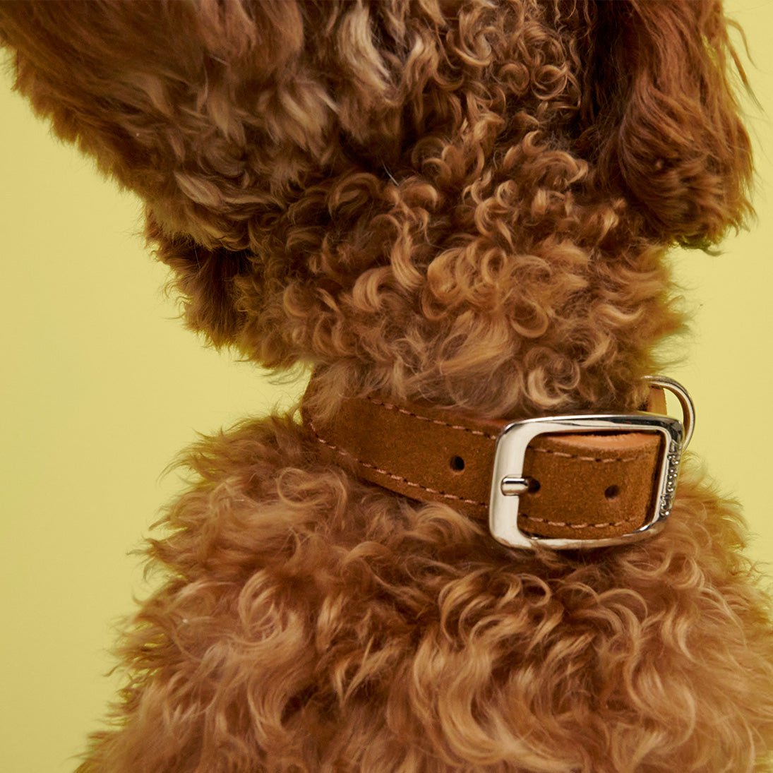 Sunny Dog Collar – Sunset - Smiley Bark