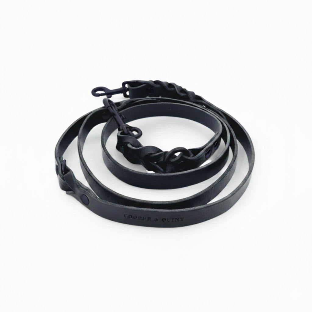 Twisted Switch 3-in-1 Braided Leather Leash – Midnight Black